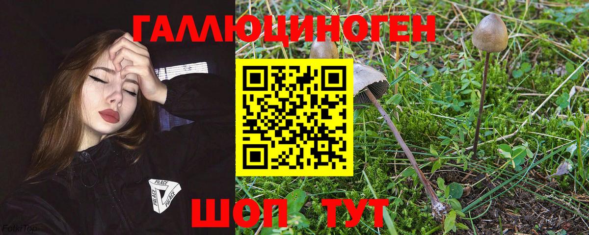 Тавда  Галлюциногенные грибы мухоморы  Вход с VPN  Псилоцибиновые грибы мухоморы 