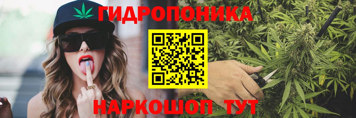 Бошки Шишки White Widow  Канабис сатива  Вход с VPN  Марихуана марихуана  Тавда 